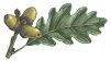 mywebsite010007.jpg