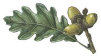 mywebsite010008.jpg